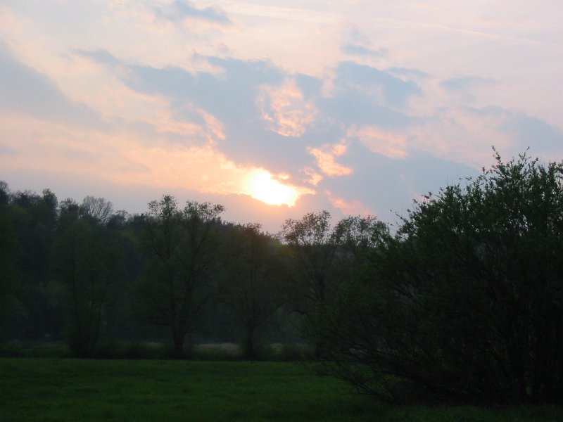 Hitzacker 04 024.JPG - Hitzacker - Abendstimmung